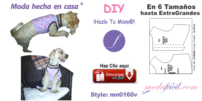 Coqueta Camiseta para Mascotas en 6 Tallas MN0160 - Modafacil DIY